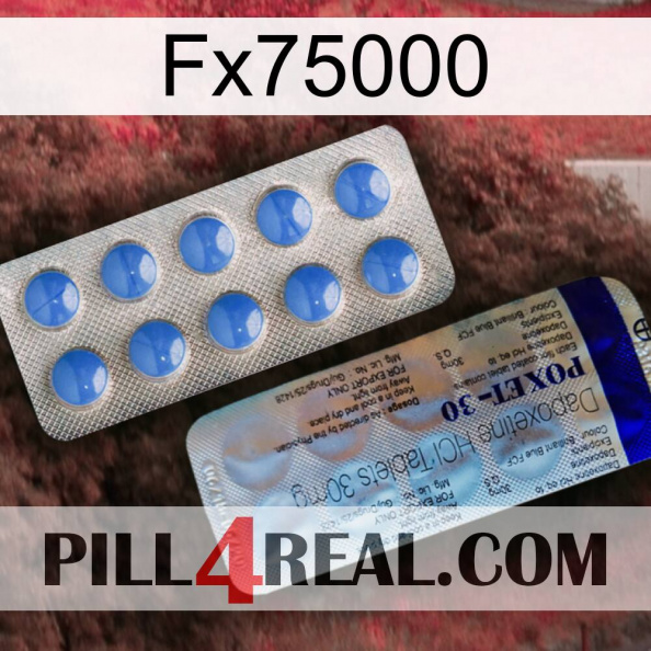 Fx75000 39.jpg